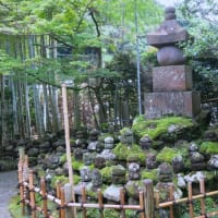 鎌倉散歩～若宮大路段葛・報国寺