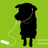 ipod for dogsつづき