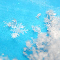 雪の結晶★ 