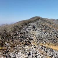滋賀県の霊仙山に登ってきました