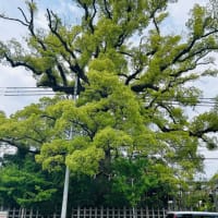 今熊野かいわい