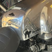 新しいクラブ探し