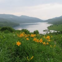 野反湖シーズン券