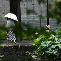 投稿して、10年　　2025 10 01終了します。