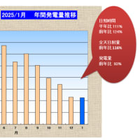 我が家の太陽光発電　2025年1月の発電量