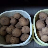 食料品高騰に