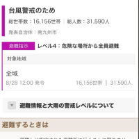 台風10のせいや！