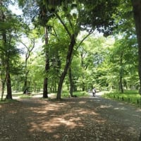 5月の神代植物公園、そして・・・