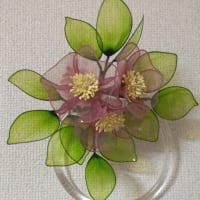 お正月は趣味三昧