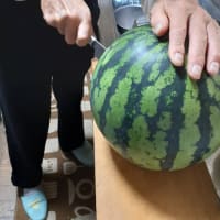 ～～★　≪　信州スイカ・松本ハイランド　≫★～～