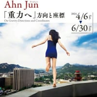 〈奈良市写真美術館〉　アン⋅ジュン「『重力へ』方向と座標」展
