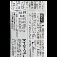 推しの穴馬情報