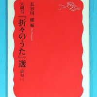 水底を見てきた顔の小鴨
