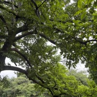 人は溢れると言葉にならない