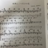 新潟アルビ　あと一勝