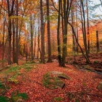 主人の登山デビュー