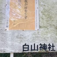 【閲覧注意！虫（死骸も）の写真が御座います。】鎮・散歩その1「八王子白山神社」〜人類よ、気づけよ、気を配れよ、自然に、自然に元気を与えよ。〜