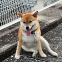 妹と同じ時刻に撮った同じ雲