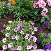 昨日（さくじつ）の　家族の様子　書いてみた