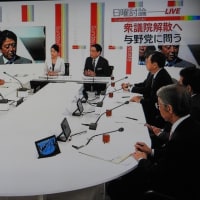 NHK日曜討論「衆議院解散へ与野党に問う」を視聴して