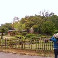 花花花でくく　苦しいほど　春