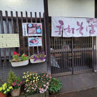 嵯峨野 (辻堂)