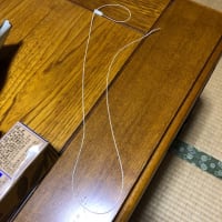 怪力ヽ(￣д￣;)ノ=3=3=3
