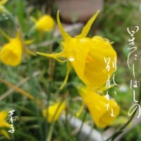 春ふかき星にしばしの別れかな　　恭子