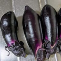 ダブル菜園とジムでの16km・・・