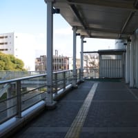 ３月の習志野台：新京成線北習志野駅の橋上駅舎と駅前ロータリー内の散策　ＰＡＲＴ２