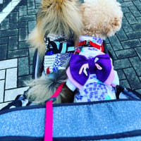 ７月８月９月空室案内