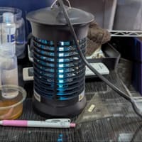 電撃殺虫器　２度目の修理結果