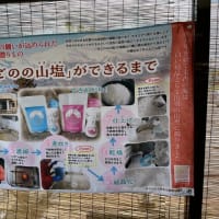 産直あさひグーの湯殿の山塩チャーシューメン
