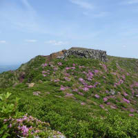 阿蘇中岳・高岳東峰　 6月1日(日)