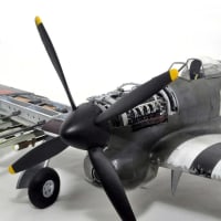 局地戦闘機 雷電 21型 第352海軍航空隊 青木義博中尉搭乗機 1945