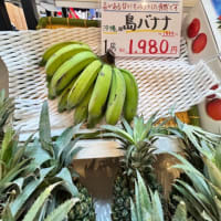 ❤️7/12❤️①羽田空港第1パトロール❤️
