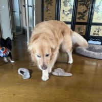 パフューム？