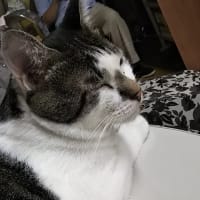 はじめまして。