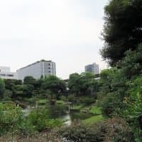 両国の旧安田庭園に樹木の間から涼しい風が流れた