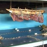 海鳥のサンクチュアリ　天売島と森林浴を楽しむメルヘンの焼尻島　７２回目　羽幌