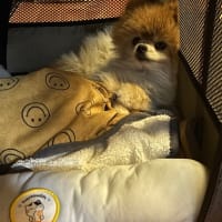 嬉しい！！！けど・・・