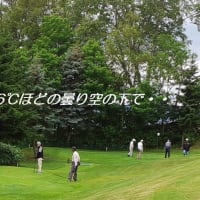  　パークゴルフ日和だ・・