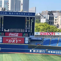  2024年神奈川県高校野球春季大会(42年ぶりの優勝)