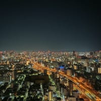 ベイエリア（１１）夜と朝