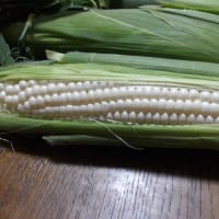 新しいのに懐かしいトウモロコシ