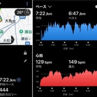 朝ラン７ｋｍ & 芝刈り