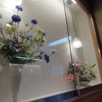 |M3412|巣鴨地蔵通りに入って1～2分の『地蔵蕎麦大橋屋』にお邪魔。生ビ＆みそおでん＆えだまめで開始して、冷やし梅干しそばはパッツンコシのそばが長～い＆ミニ海老天丼もうまかった！