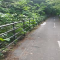 療養ジョグ(笑)　令和7年6月13日（金）