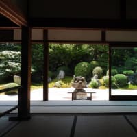 『霊雲院』の九山八海の庭