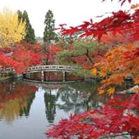 京都の紅葉名所　永観堂